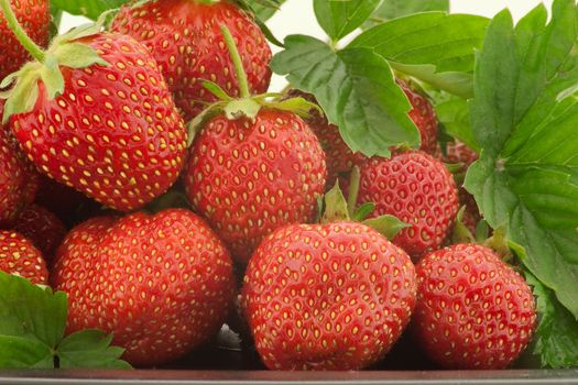 Heap of a lot of fresh red strawberries