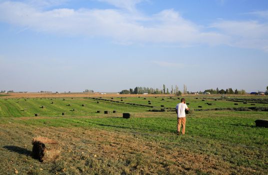 A young farmer on a field with hay bales