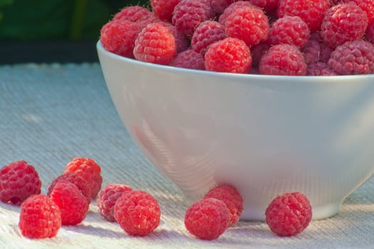 Still-life with a raspberry, solar illumination