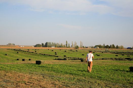 A young farmer on a field with hay bales