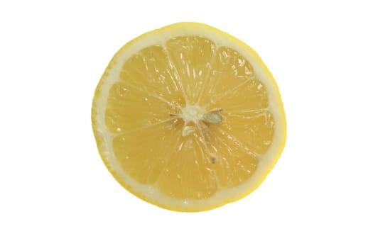 lemon slice isolated in white