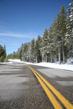 A road at Yellowstone National Park, Wyoming, USA