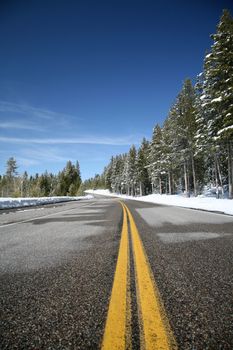 A road at Yellowstone National Park, Wyoming, USA