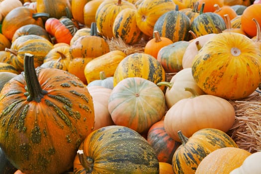 Pile of a variety of pumpkins of haystacks