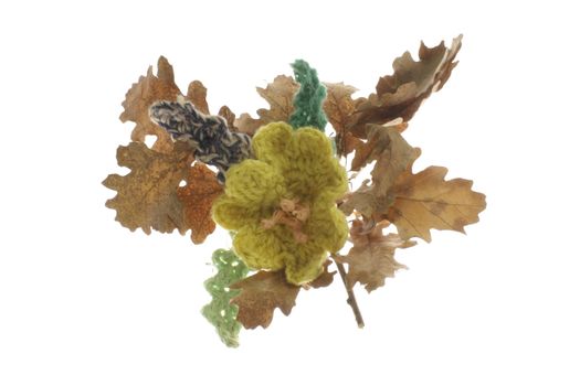 Woolen flower with natural oak leaves isolated in white.
