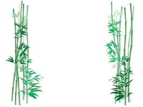 Illustration of green bamboo canes and leaves framing an open area with space for text.