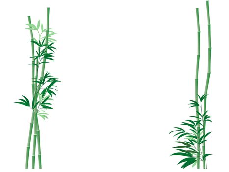 Illustration of green bamboo canes and leaves framing an open area with space for text.