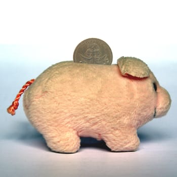 Pig with money