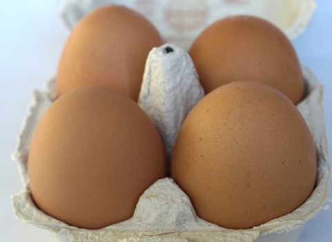 Four eggs in a cardboard wrap box