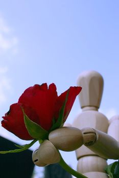 mannequin holding out  a red rose on valentines day