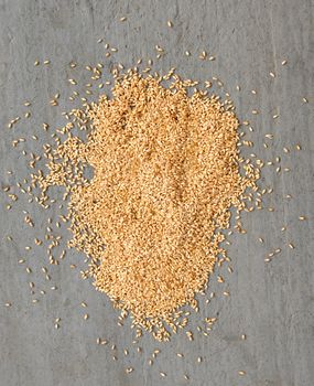 wet wheat heap on gray concrete background