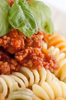 Fusilli pasta with bolognese sauce and basil.