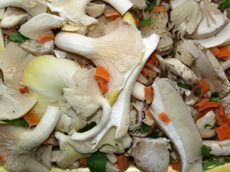 Mixed mushrooms salad food background