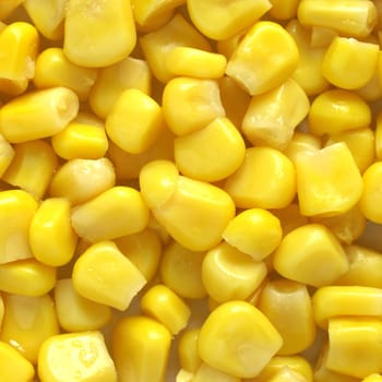 Yellow maize or corn food cuisine background