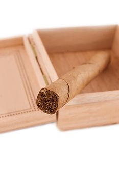 One left cigar in wooden box over white