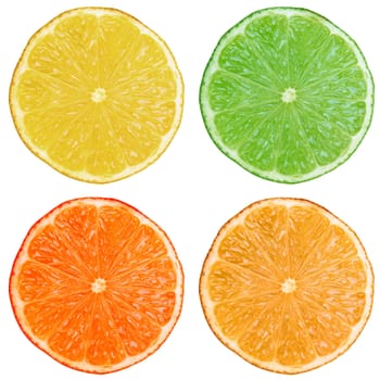 Slices of lemon lime orange citrus fruit isolated on white