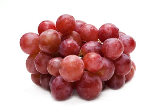 Berries of grape, small circle in dewdrop, insulated on white background