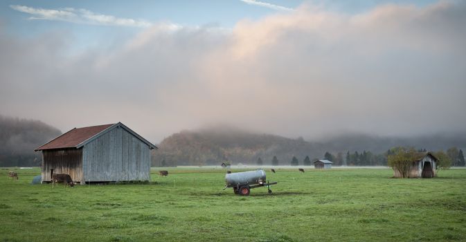 An image of a bavarian scenery with cows