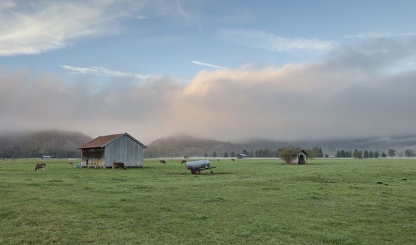 An image of a nice bavarian scenery with cows