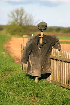 Garden Scarecrow