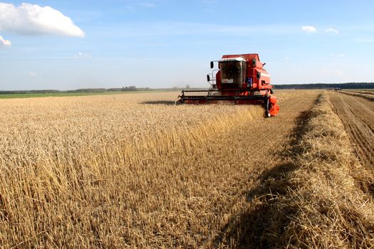 Machine harvesting the corn field
