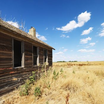 Side of wooden dilapidated building in rural field.