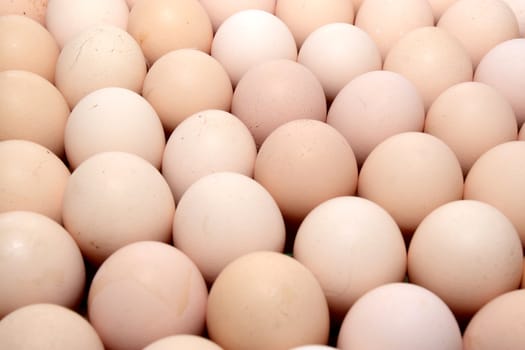 A plenty of eggs