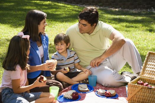 Hispanic family picnic in the park.
