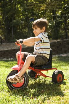 Side view of Hispanic boy riding red tricycle in grass.