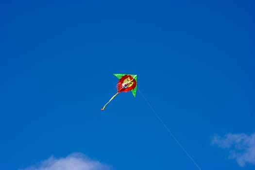 Kite soaring in the blue sky in the form of a lion