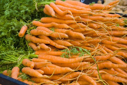 Shot of pile of carrots at french market