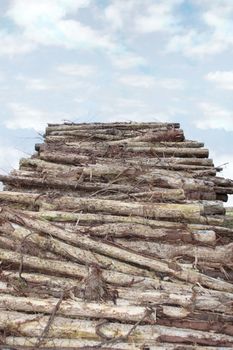 stacked timber ready for production against a cloudy sky