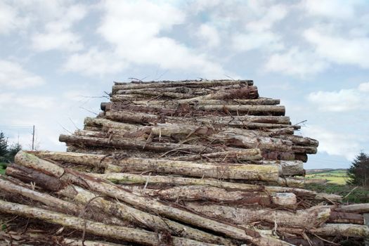 stacked timber ready for production against a cloudy sky