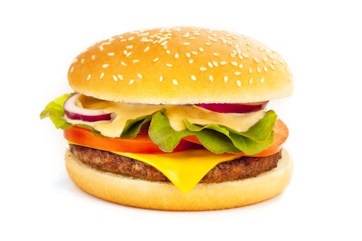 Delicious and well made cheese burger over a white background