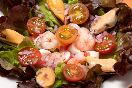 Shrimp and mussel  salad with olive oil dressing