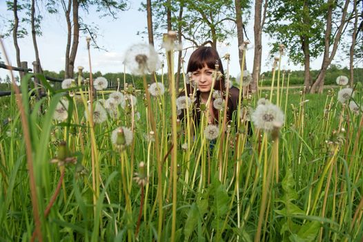 Young baautiful woman in meadow of dandelions.
