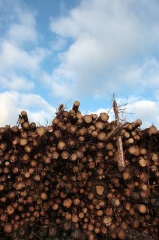 stacked timber ready for production against a cloudy sky