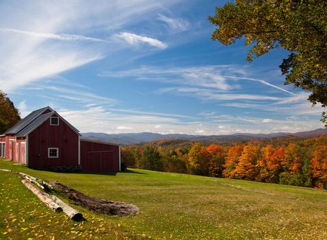 Fall leaves add color to a bright Vermont rural scene in the Fall