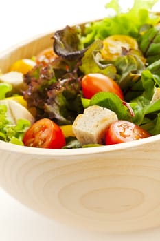 Green salad with lettuce, tomatoes and bread