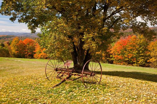 Fall leaves add color to a bright Vermont rural scene in the Fall