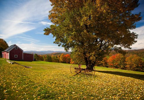 Fall leaves add color to a bright Vermont rural scene in the Fall