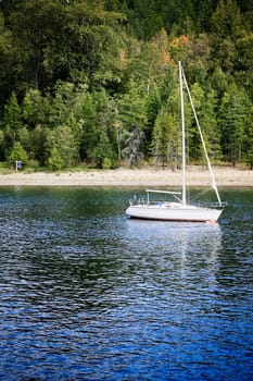 a white yacht parched close to the beach