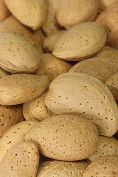 Fresh shelled almonds