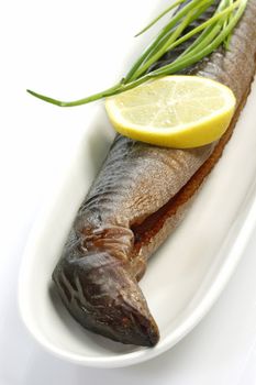 Whole smoked eel with garnish on a plate