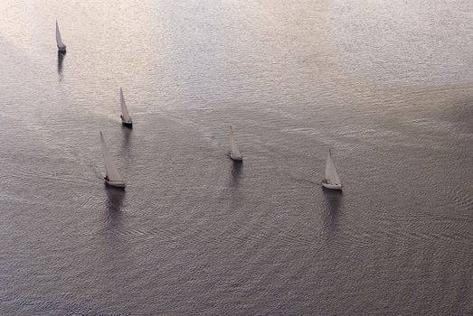 Sailing regatta in warm tones. The top view