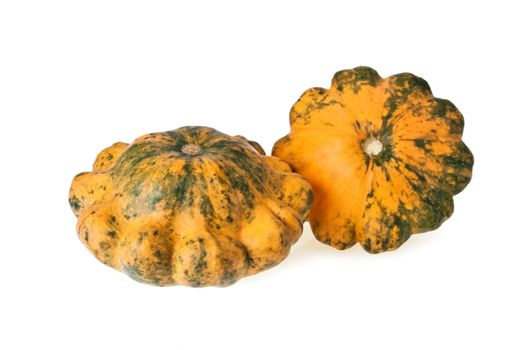 Two motley colorful scalloped squashes isolated on white