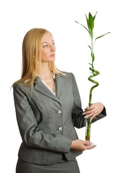 pretty businesswoman with bamboo isolated over white with clipping path