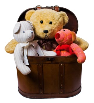 toys sitting in vintage case  isolated over white with clipping path