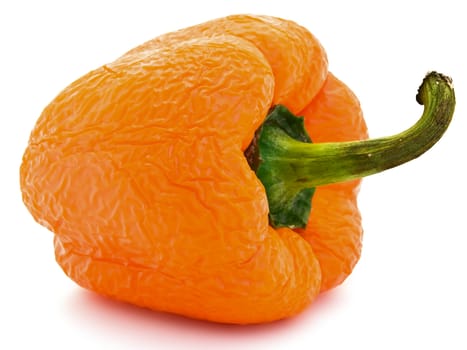 old wrinkled orange paprika over the white background