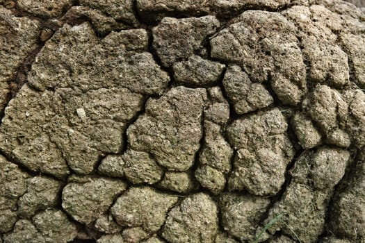 Cracked earth